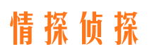 攸县外遇出轨调查取证